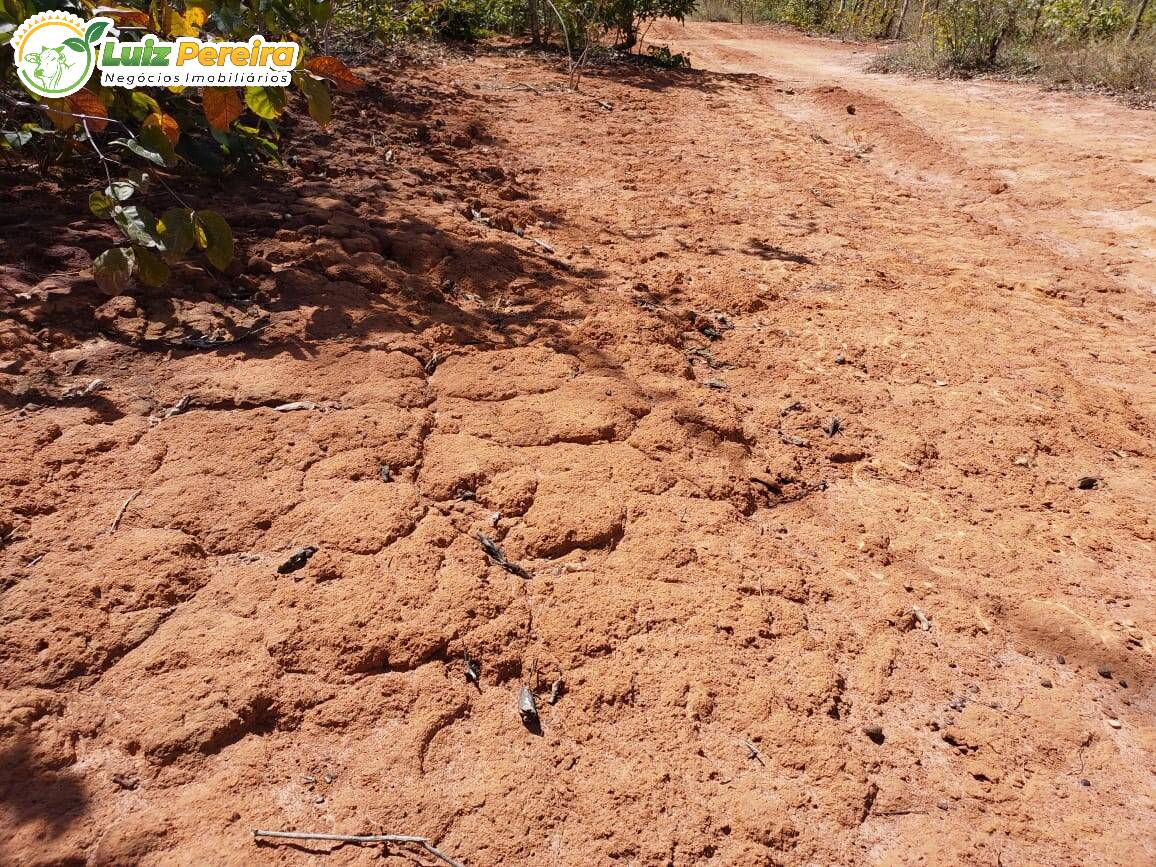 Terreno à venda, 82700000m² - Foto 7