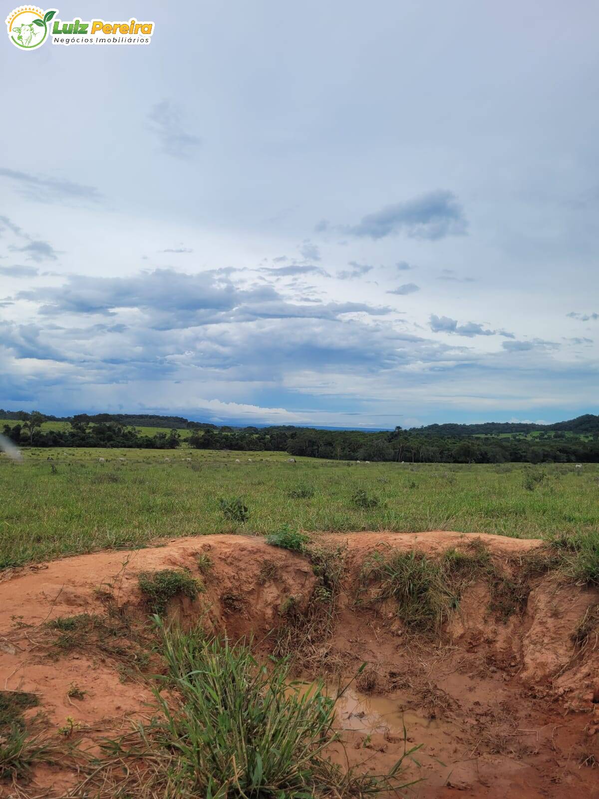 Fazenda à venda, 22000000m² - Foto 6