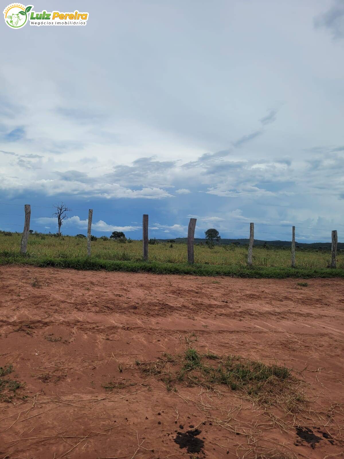 Fazenda à venda, 22000000m² - Foto 7