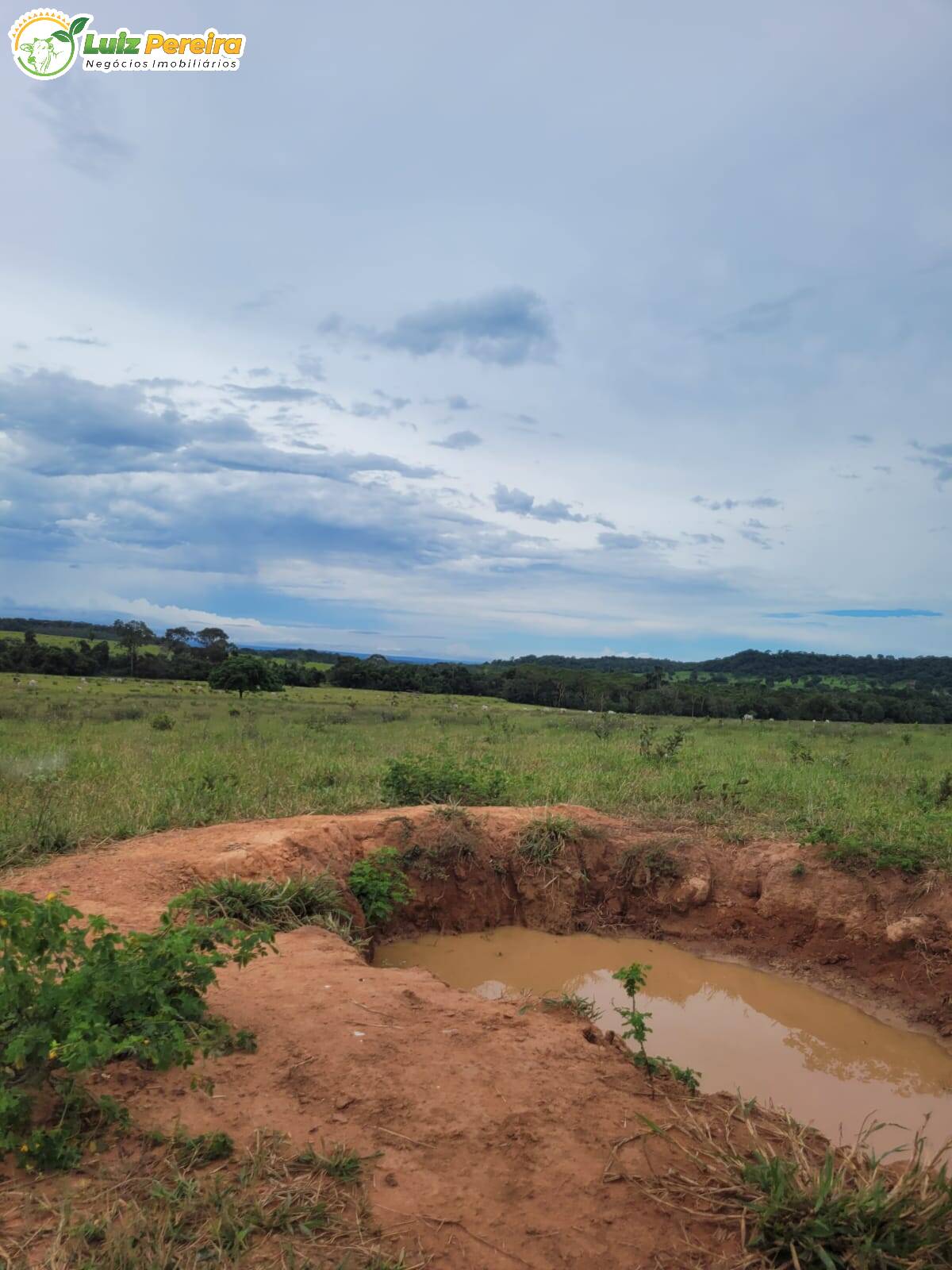 Fazenda à venda, 22000000m² - Foto 5