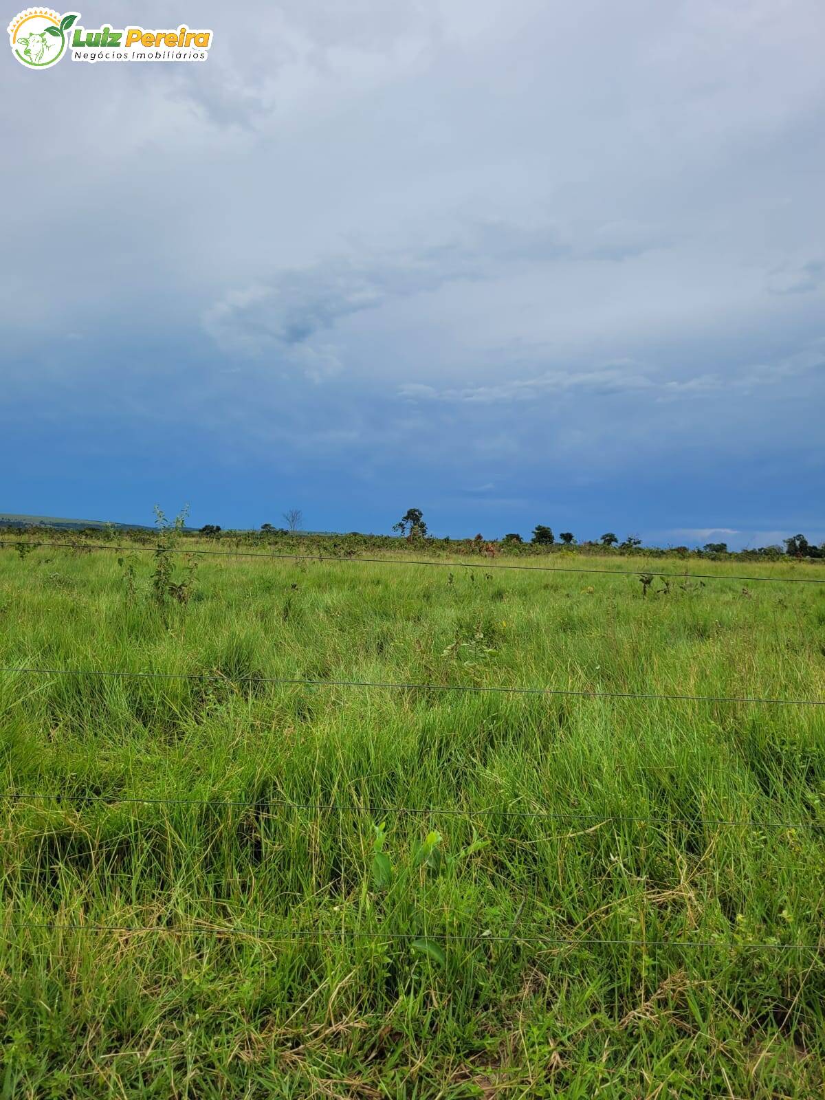 Fazenda-Sítio-Chácara, 1383 hectares - Foto 2