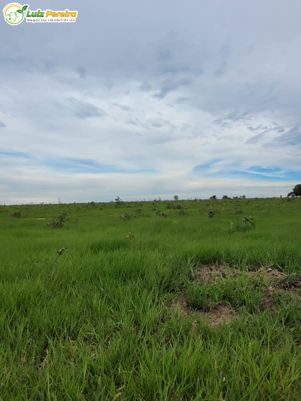 Fazenda à venda, 13830000m² - Foto 7