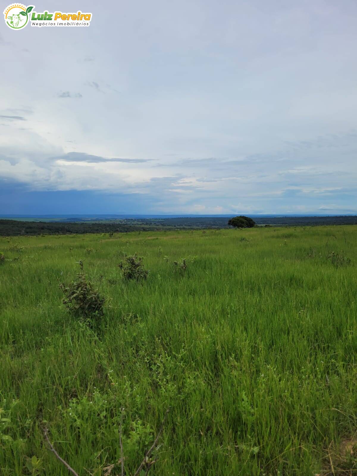 Fazenda à venda, 13830000m² - Foto 9