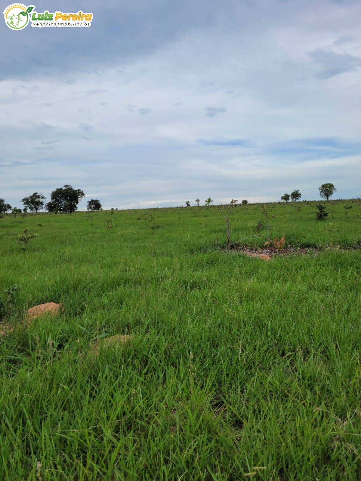 Fazenda à venda, 13830000m² - Foto 8