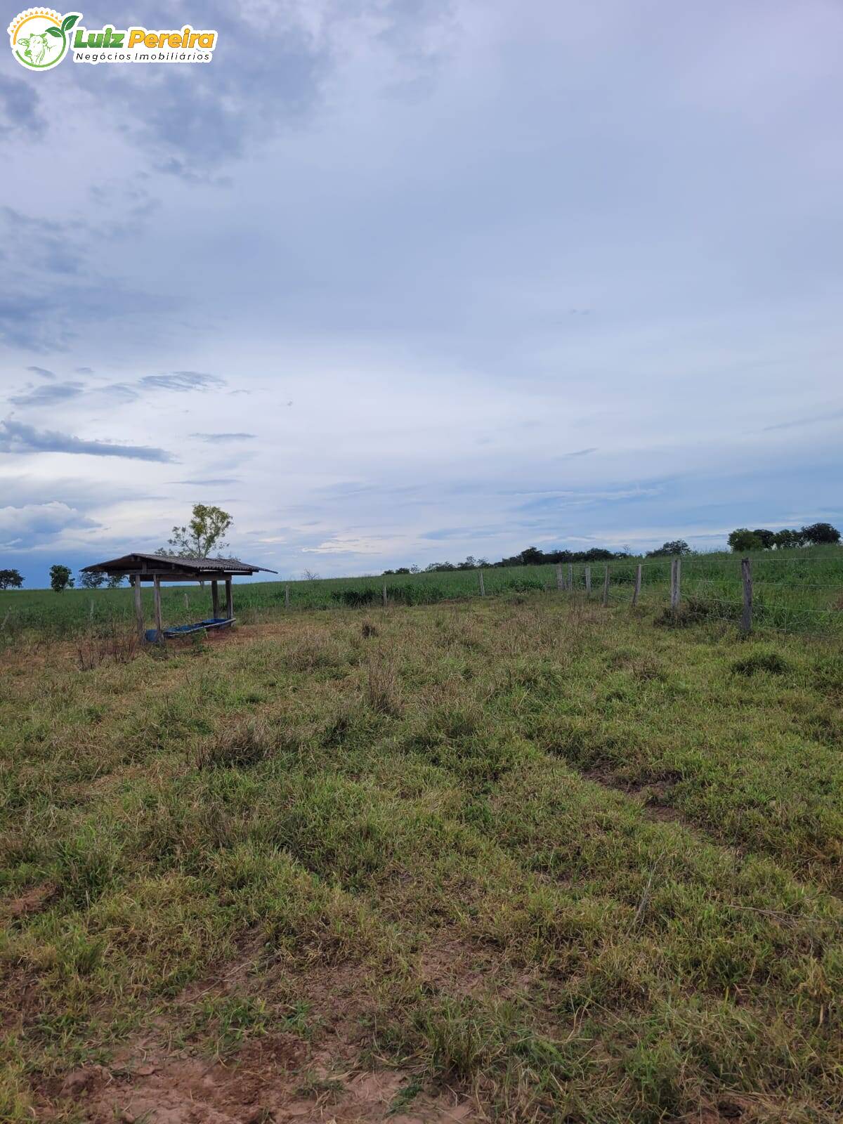 Fazenda à venda, 13830000m² - Foto 11