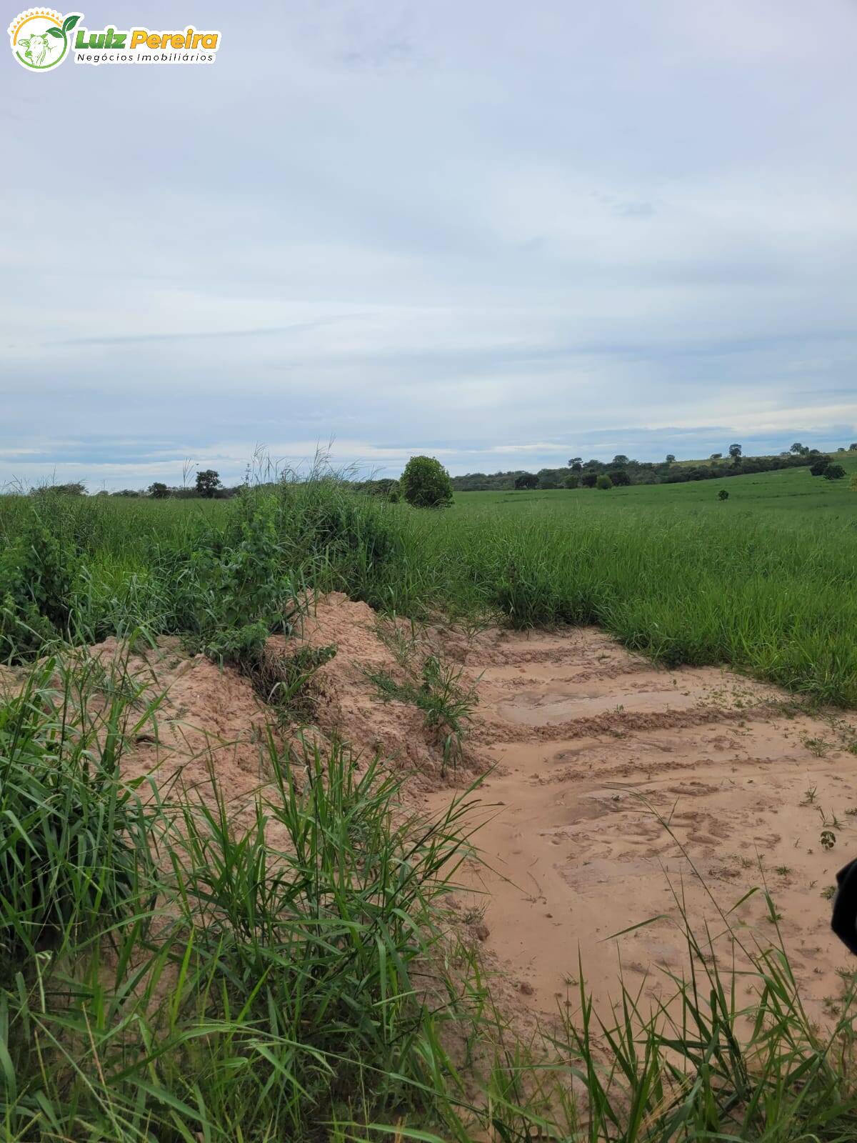 Fazenda à venda, 13830000m² - Foto 12