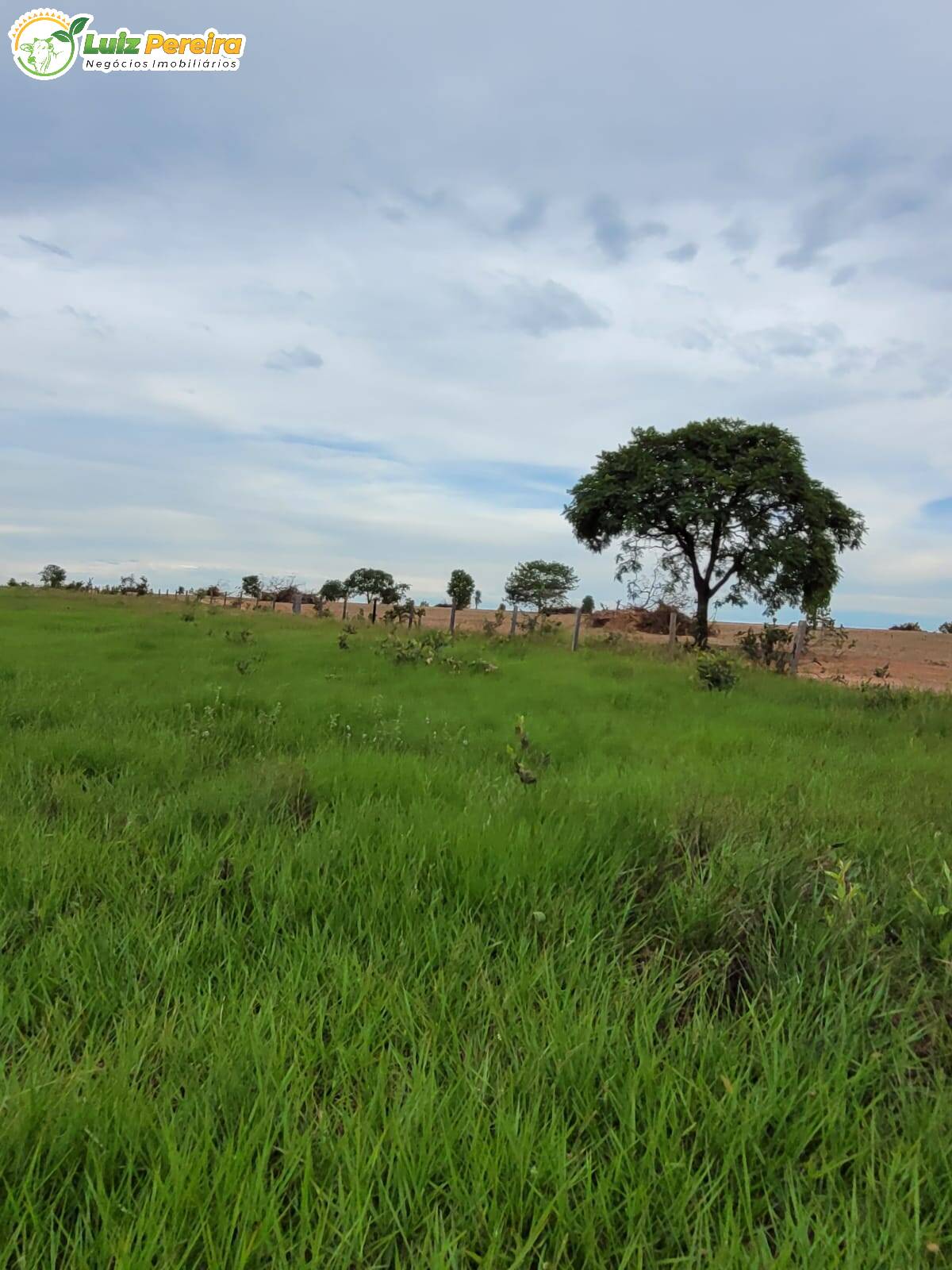 Fazenda à venda, 13830000m² - Foto 13