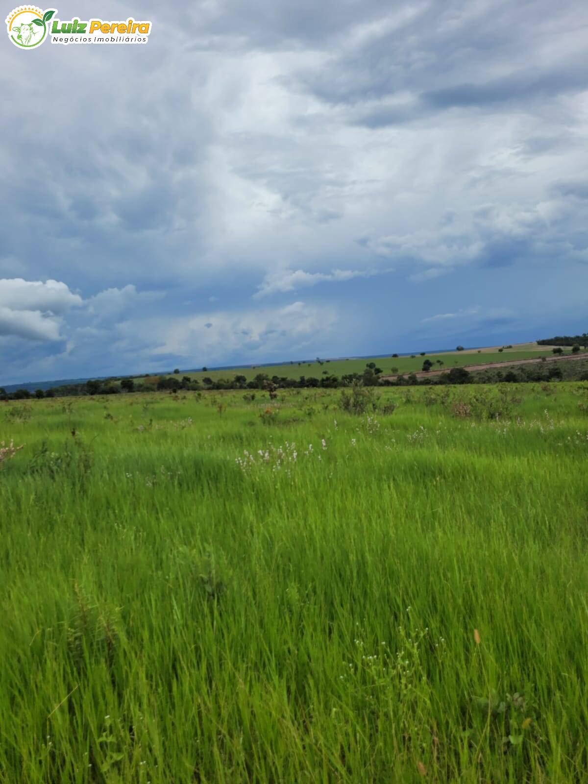 Fazenda à venda, 13830000m² - Foto 15