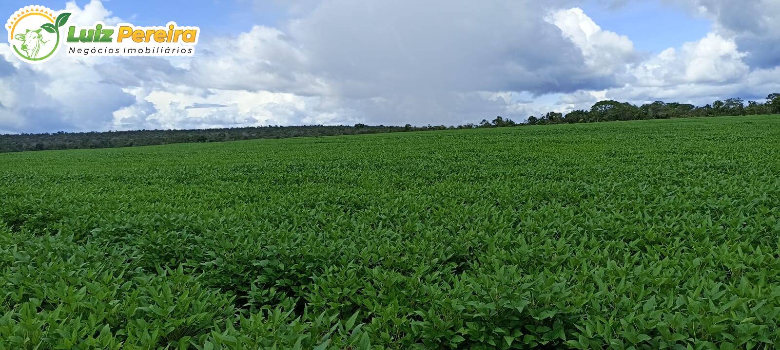 Terreno à venda, 7540000m² - Foto 5