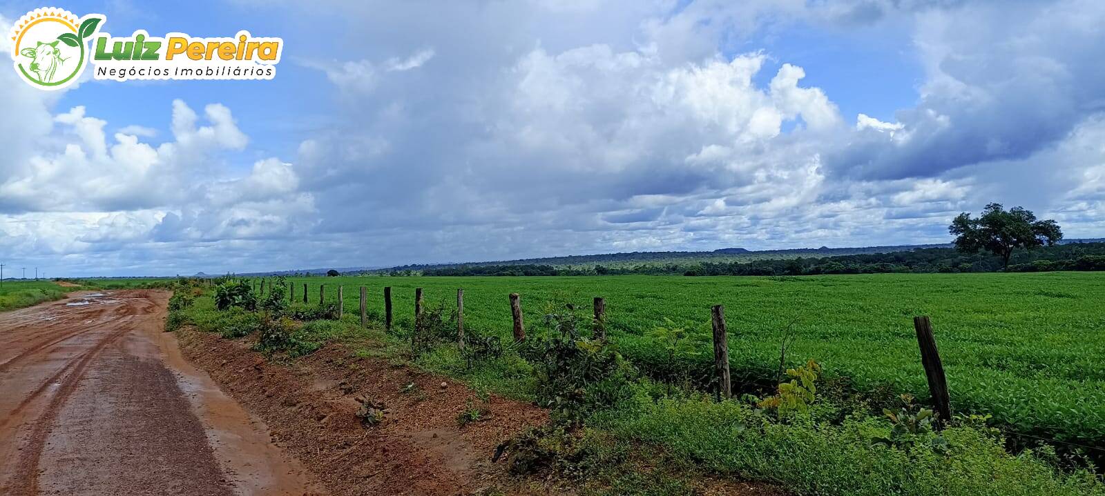 Fazenda-Sítio-Chácara, 754 hectares - Foto 1