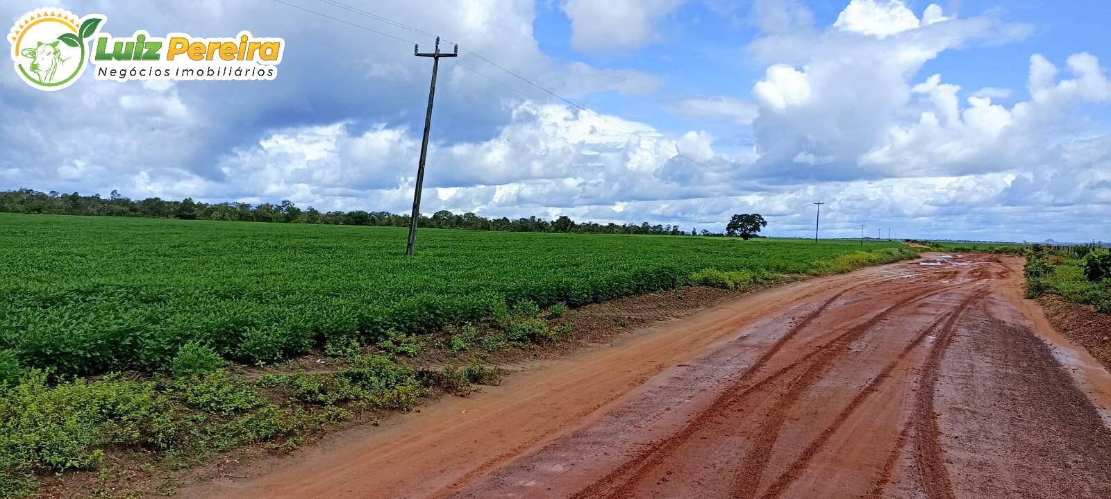 Fazenda à venda, 7540000m² - Foto 6