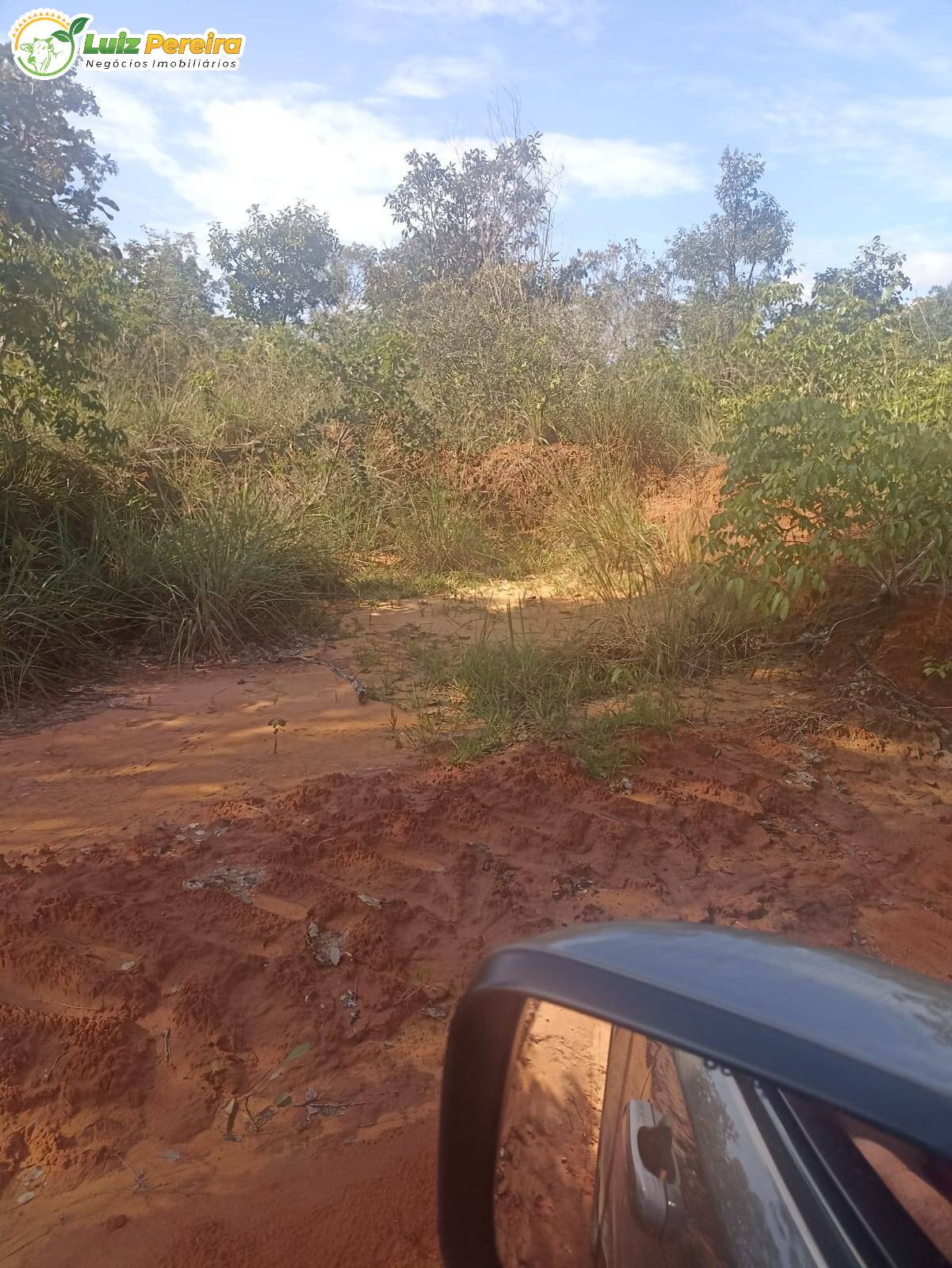 Fazenda à venda, 16360000m² - Foto 11