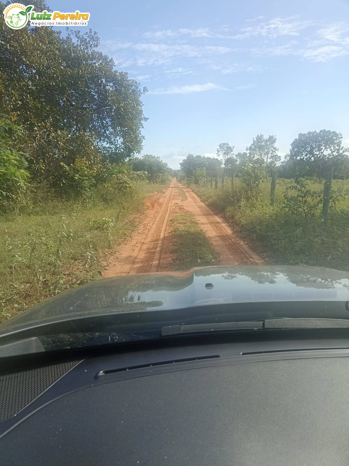 Fazenda à venda, 16360000m² - Foto 9