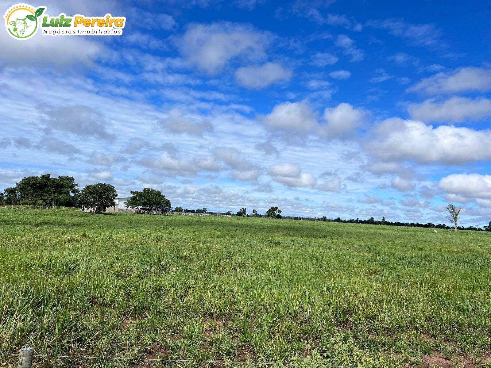 Fazenda-Sítio-Chácara, 774 hectares - Foto 2