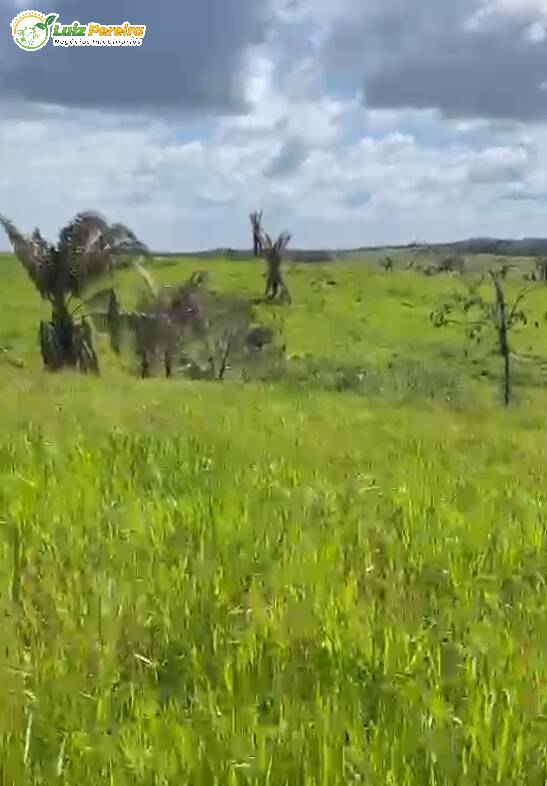 Fazenda à venda, 10357600m² - Foto 2