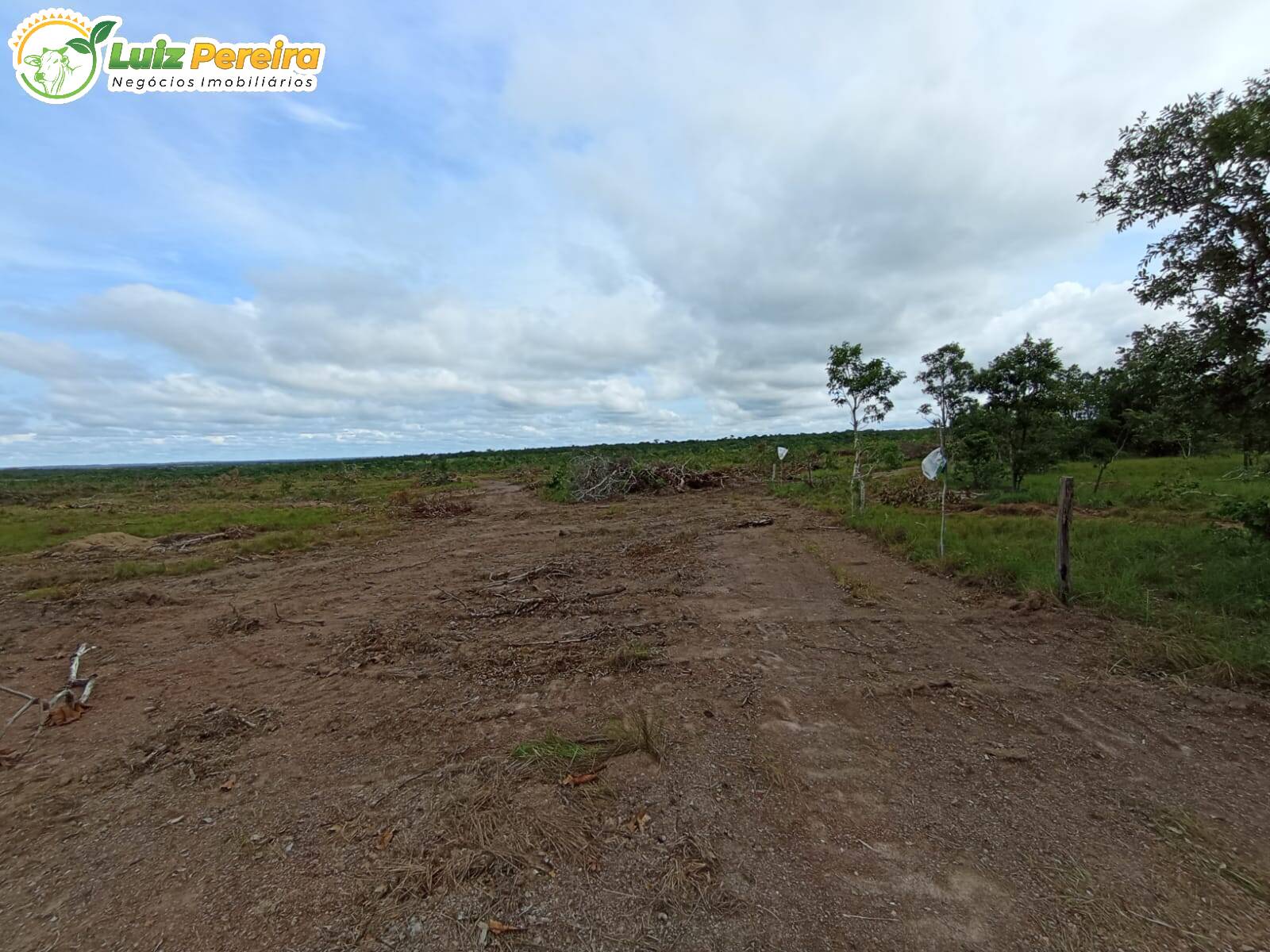 Fazenda-Sítio-Chácara, 484 hectares - Foto 3