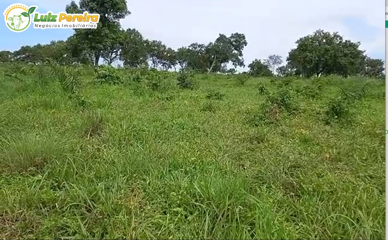 Fazenda à venda, 2000000m² - Foto 5