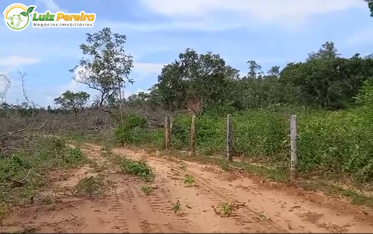 Fazenda à venda, 2000000m² - Foto 8