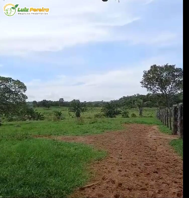 Fazenda à venda, 2000000m² - Foto 9