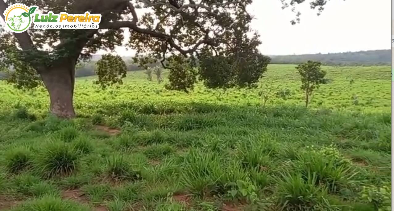 Fazenda à venda, 1000000m² - Foto 5