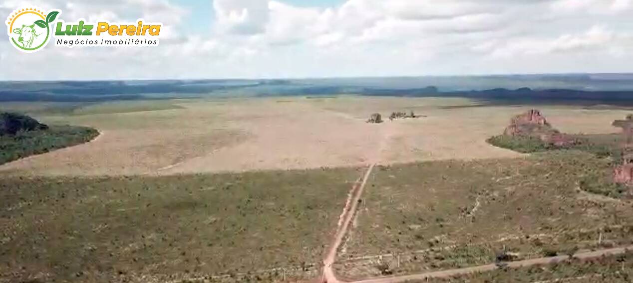 Fazenda à venda, 17800000m² - Foto 6