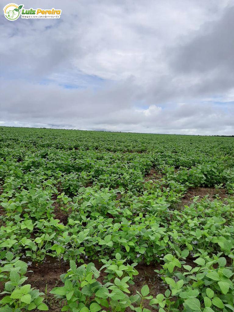 Terreno à venda, 10940000m² - Foto 8