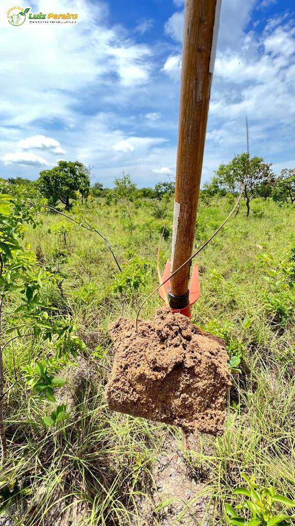 Fazenda à venda, 11035200m² - Foto 5