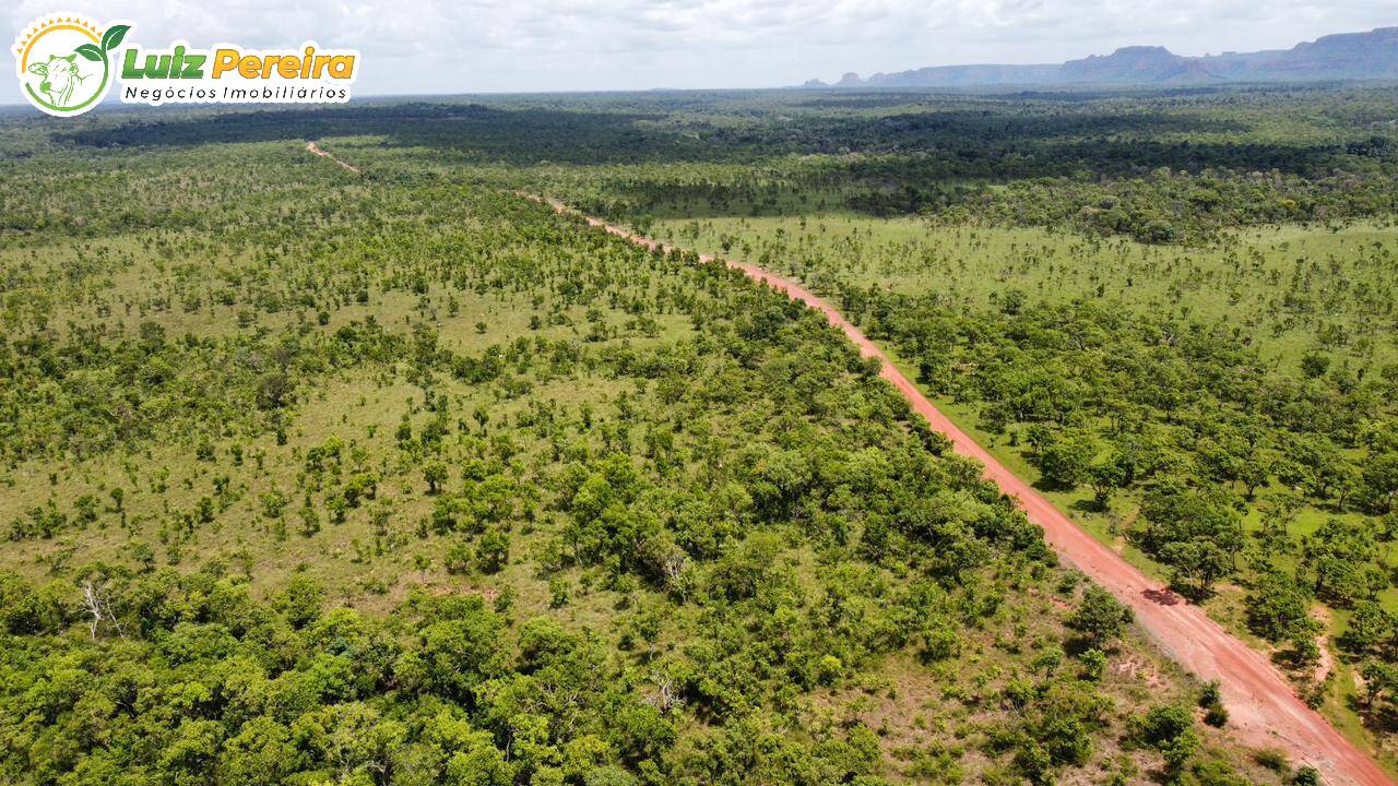 Fazenda-Sítio-Chácara, 1104 hectares - Foto 1