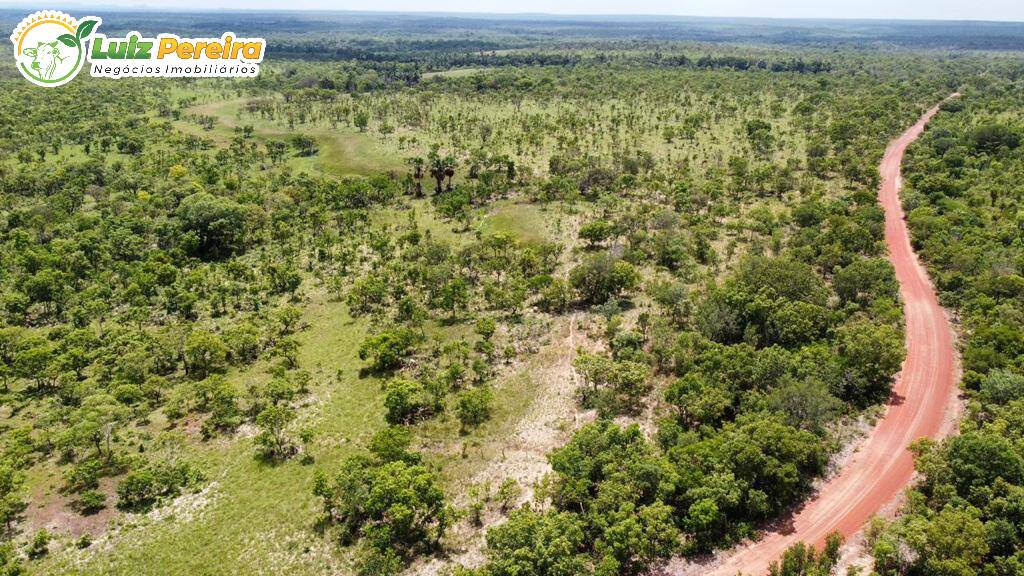 Fazenda-Sítio-Chácara, 1104 hectares - Foto 2