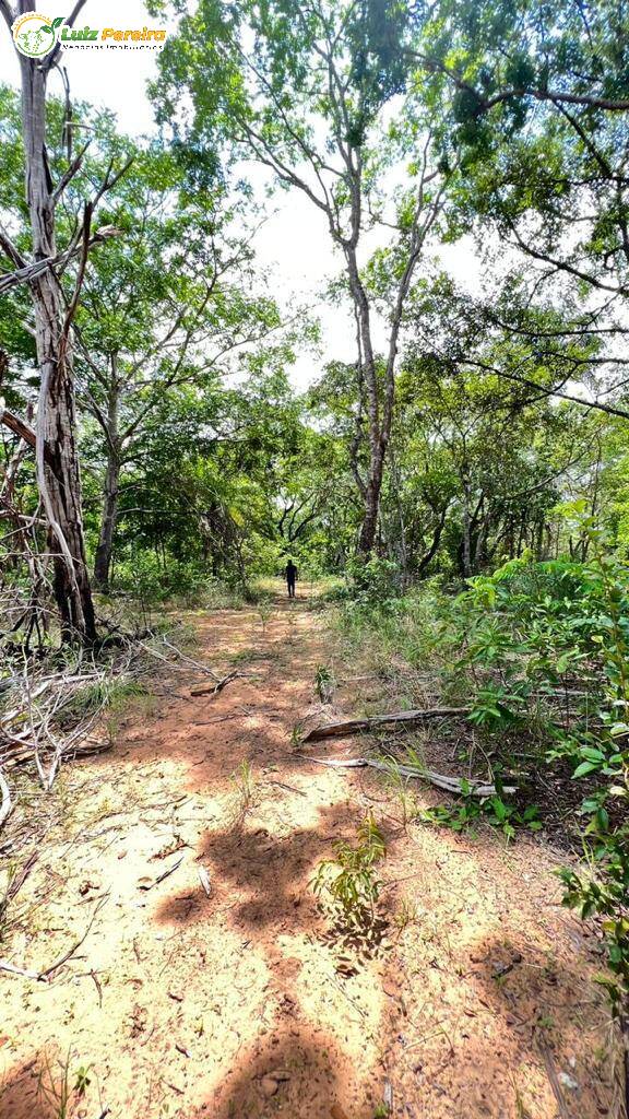 Fazenda-Sítio-Chácara, 1104 hectares - Foto 3