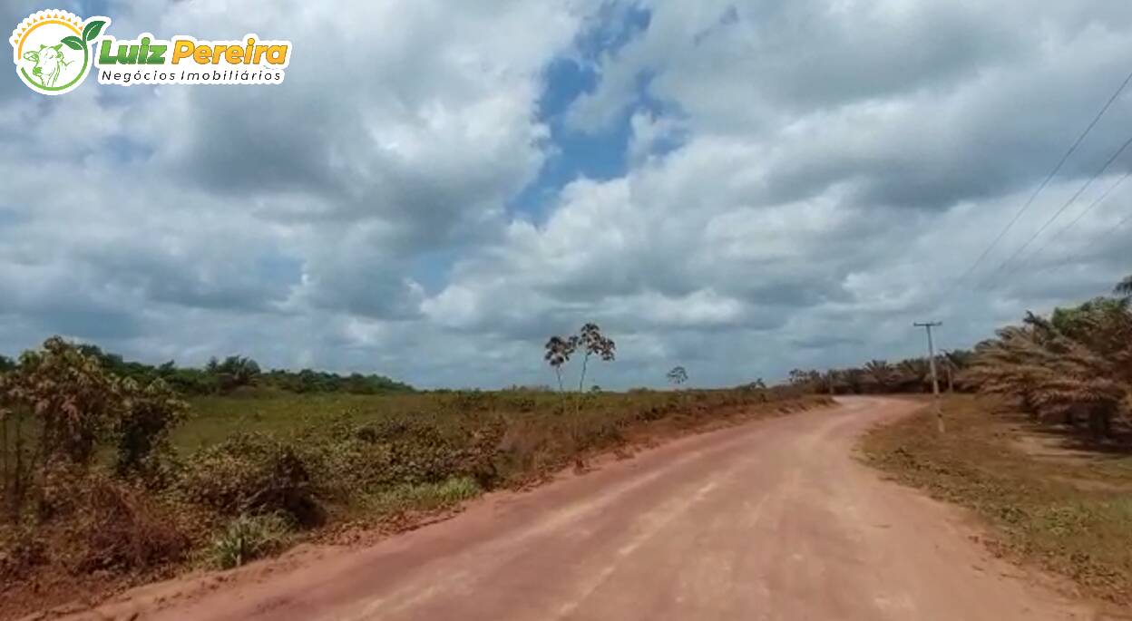 Fazenda à venda, 130680000m² - Foto 21