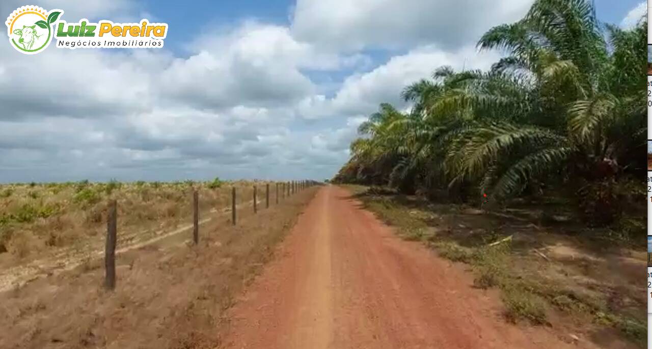 Fazenda à venda, 130680000m² - Foto 22