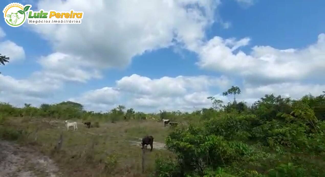 Fazenda à venda, 130680000m² - Foto 1