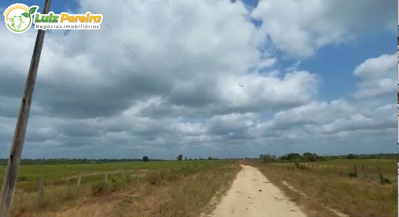 Fazenda à venda, 130680000m² - Foto 29