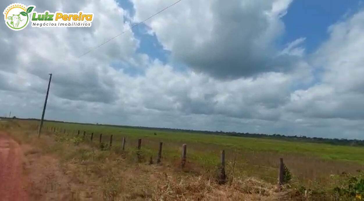 Fazenda à venda, 130680000m² - Foto 6