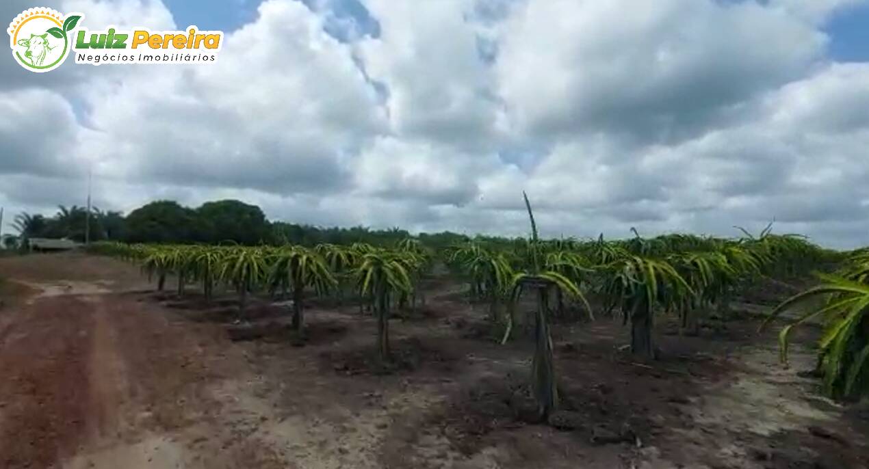 Fazenda à venda, 130680000m² - Foto 5