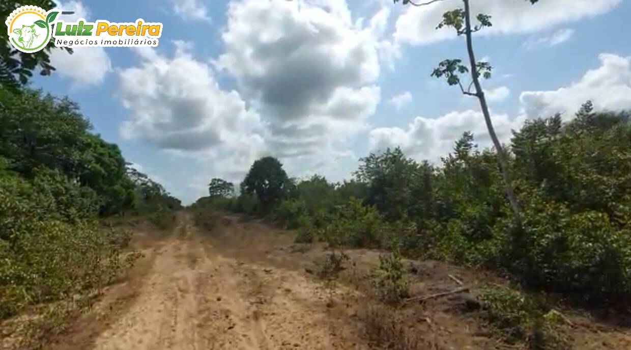 Fazenda à venda, 130680000m² - Foto 28