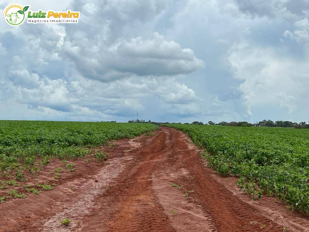 Fazenda à venda, 6000000m² - Foto 14