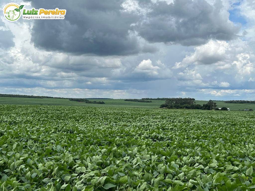 Fazenda à venda, 6000000m² - Foto 4