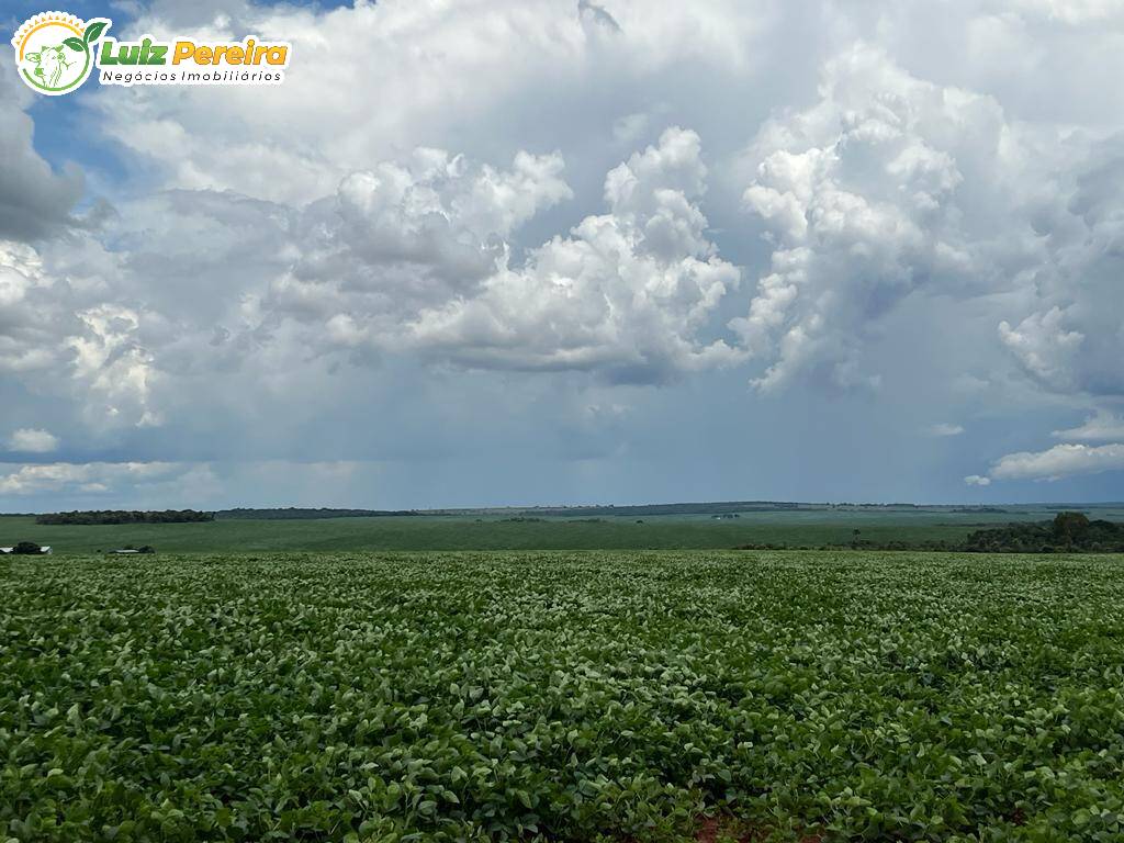 Fazenda à venda, 6000000m² - Foto 3