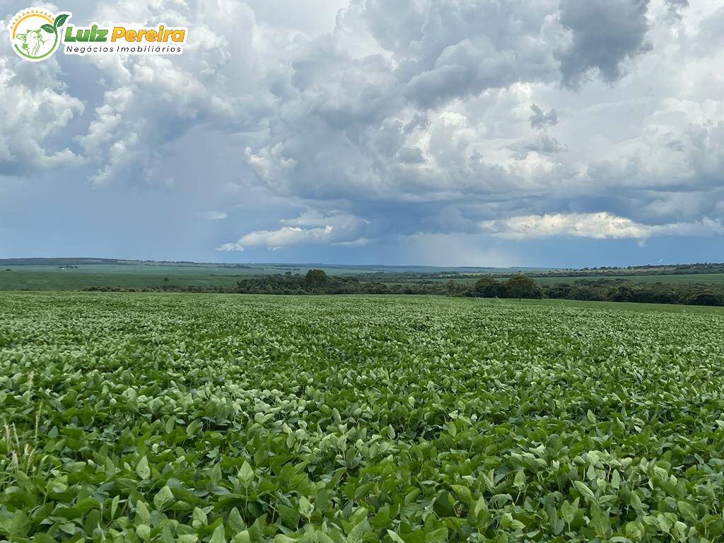 Fazenda à venda, 6000000m² - Foto 5