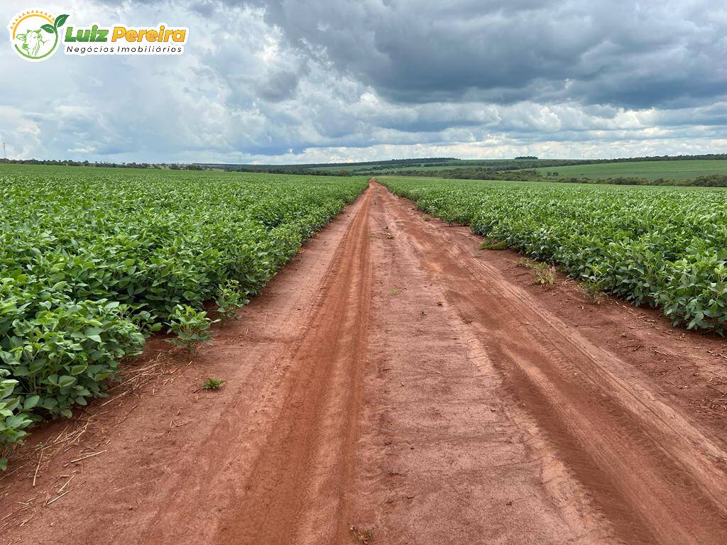 Fazenda à venda, 6000000m² - Foto 11