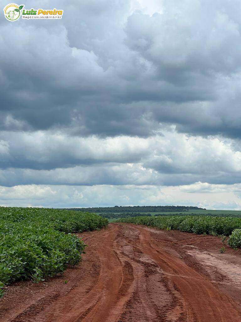 Fazenda à venda, 6000000m² - Foto 9