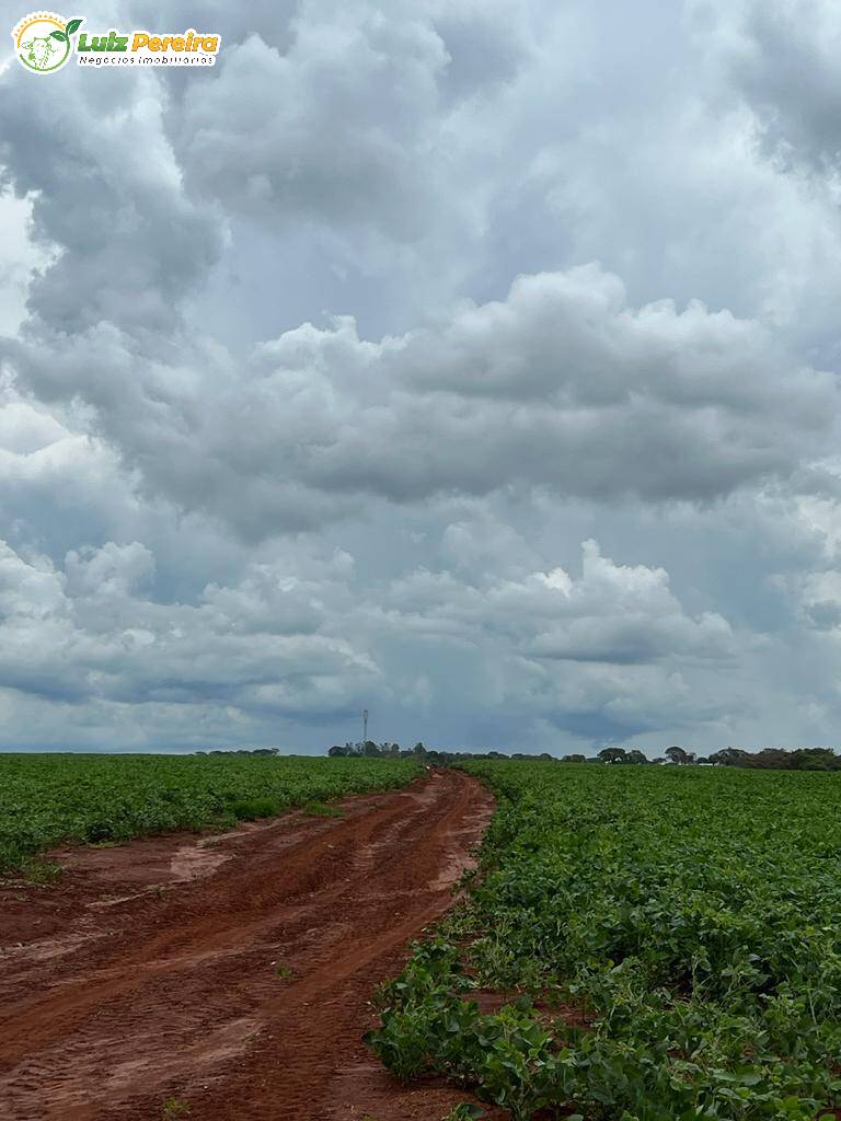 Fazenda à venda, 6000000m² - Foto 10