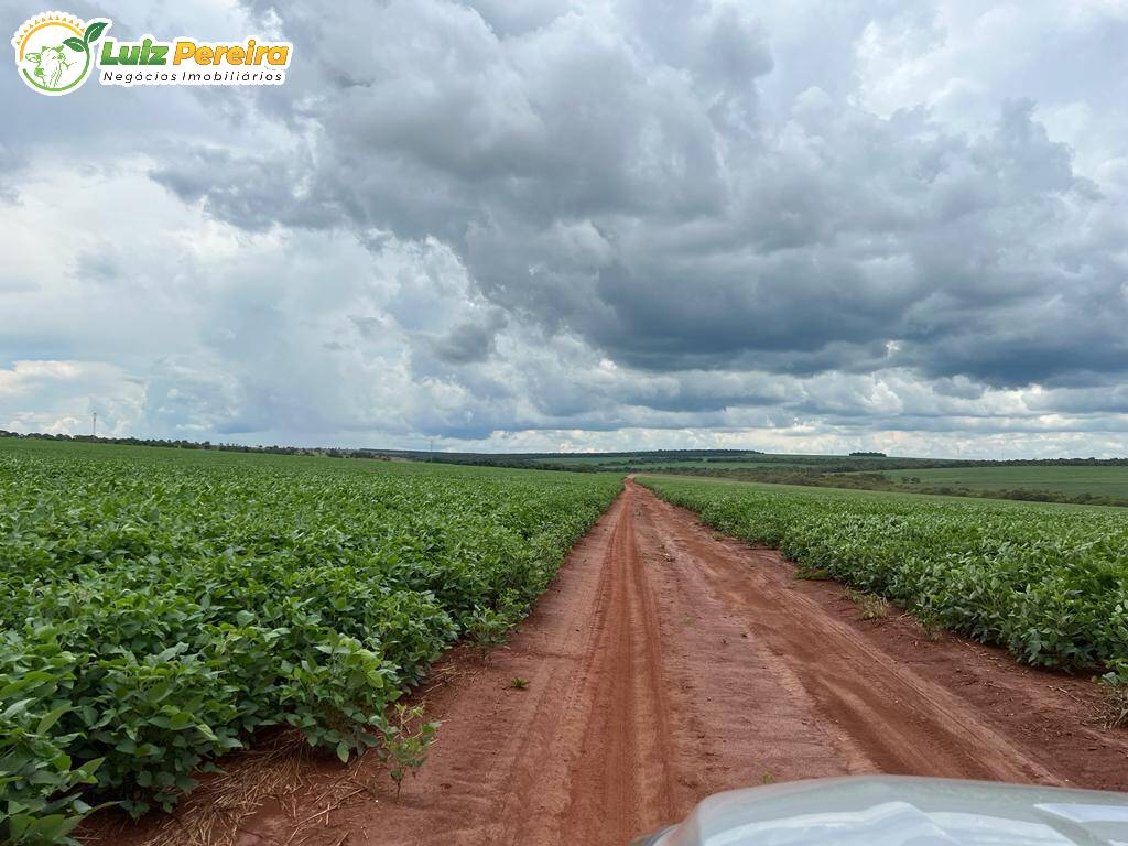 Fazenda à venda, 6000000m² - Foto 13