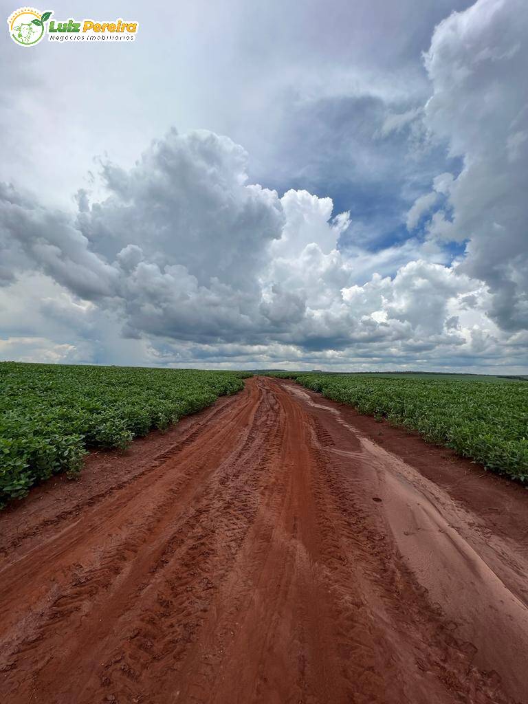 Fazenda à venda, 6000000m² - Foto 15