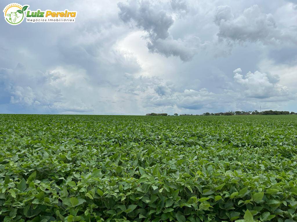 Fazenda à venda, 6000000m² - Foto 7