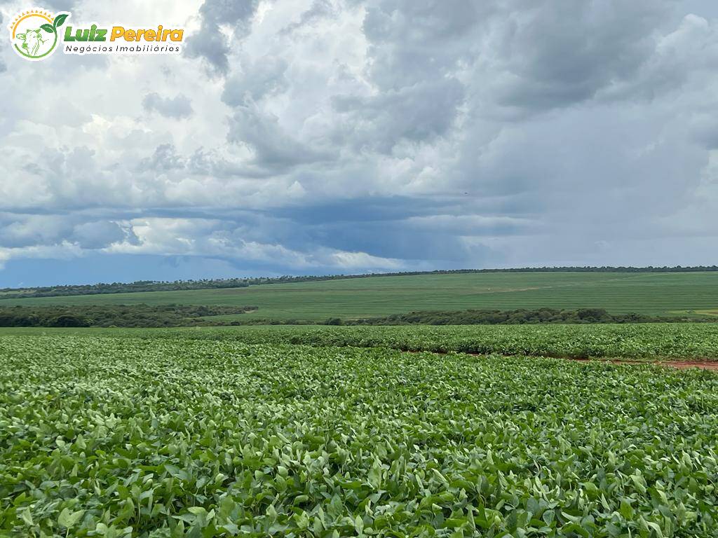 Fazenda à venda, 6000000m² - Foto 6