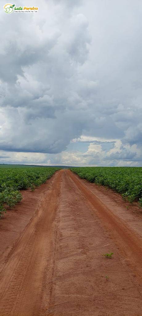 Fazenda à venda, 6000000m² - Foto 16