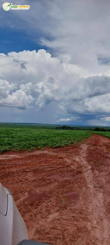 Fazenda à venda, 6000000m² - Foto 17